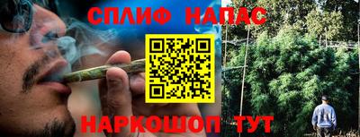 прущие грибы Заволжье