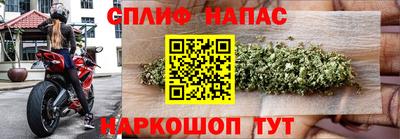 прущие грибы Заволжье