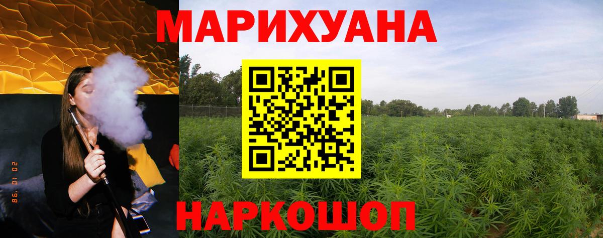 Шишки марихуана VHQ  Шишки марихуана планчик  Бошки Шишки гибрид  Майский  Вход с VPN 